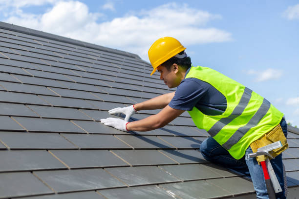 Best Roof Moss and Algae Removal  in Newport News, VA